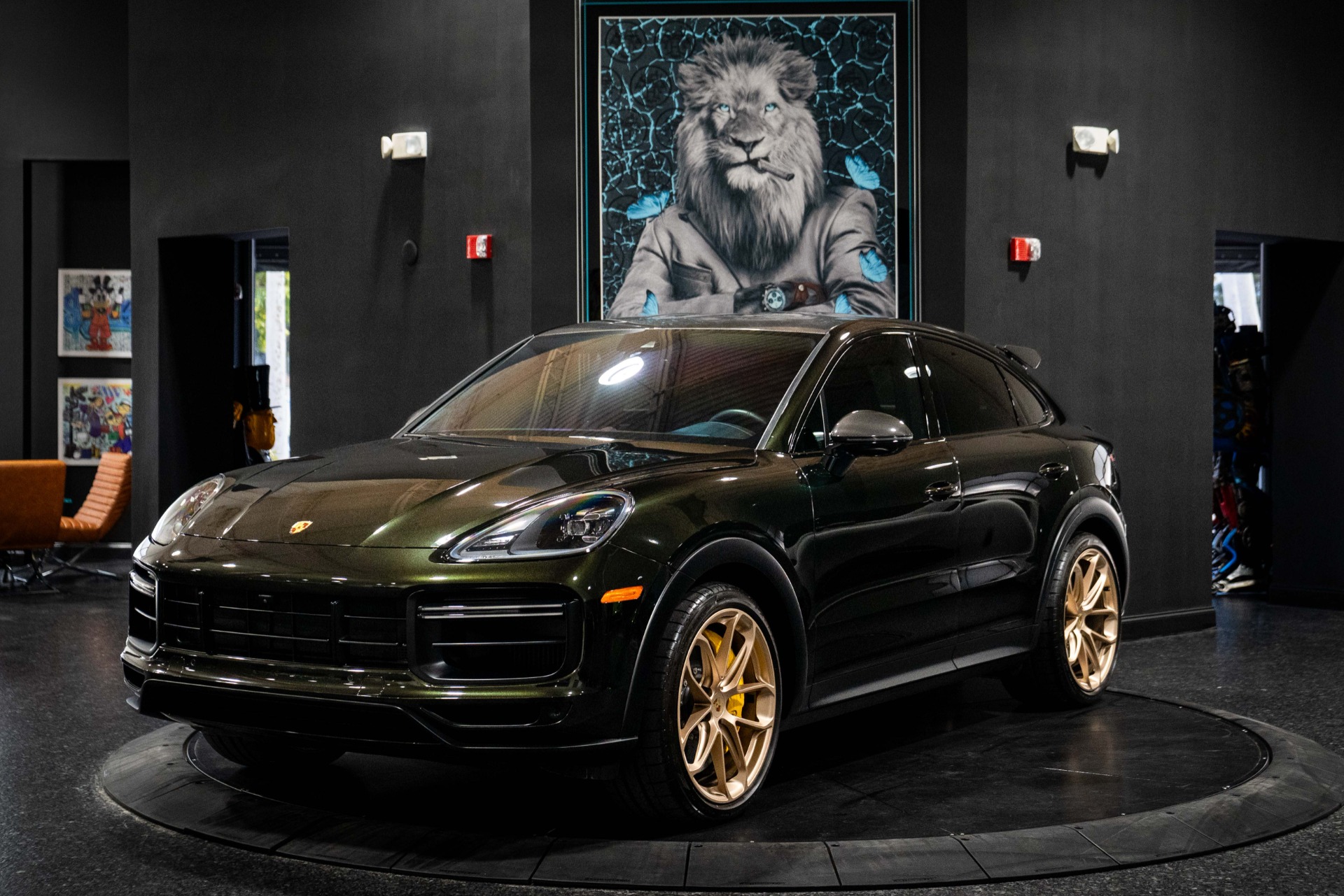 Porsche Dark Olive Metallicnull